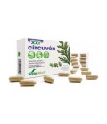Circuven 19-C Fórmula XXI 